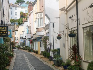 A narrow street with shops and hanging flower pots on both sides and plants along the walkway at The Mew in Dartmouth