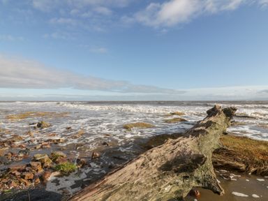 A shoreline scene with rocks and a large log near the water at Dershel Lodge in Southerness