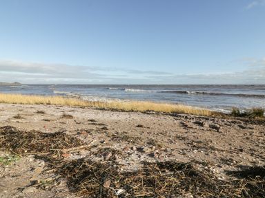 A sandy beach with seaweed and rocks next to the ocean under a clear sky at Dershel Lodge in Southerness