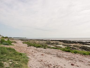 A rocky beach with patches of grass and the sea in the background at Dershel Lodge in Southerness