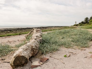 A coastal path with driftwood and grass near a rocky shoreline with a lighthouse in the distance at Dershel Lodge in Southerness