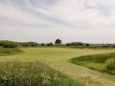 A golf course green with a flag surrounded by grass and bushes at Dershel Lodge in Southerness