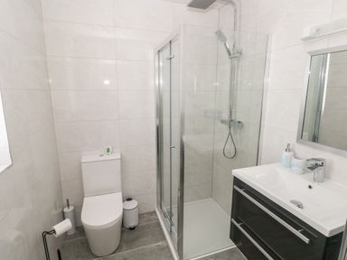 A bathroom with a toilet, a glass shower enclosure, a sink with a cabinet, and a mirror at LunaRoxx, 6 Meadow Gardens, Kilgetty