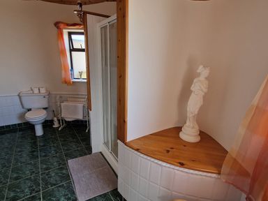 A bathroom with a toilet a shower with glass doors a small statue on a wooden ledge and a window with an orange curtain at High Tide in Duncannon County Wexford