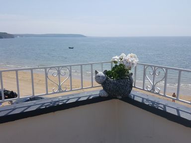 A balcony with a cat-shaped flower pot and flowers overlooking a sandy beach and the ocean at High Tide in Duncannon County Wexford