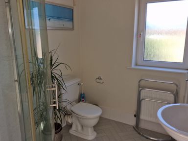 A bathroom with a toilet potted plant shower enclosure and window at Beach House in Duncannon County Wexford