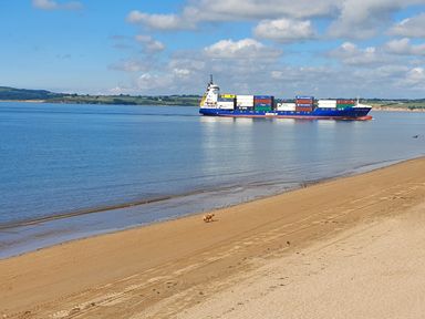 A sandy beach with a dog walking near the water and a container ship on the water at Beach House in Duncannon County Wexford