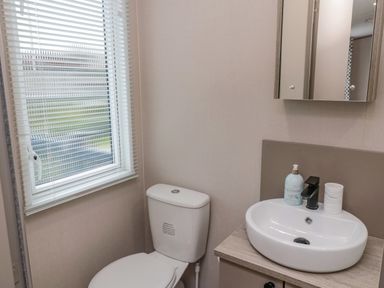 A bathroom with a toilet, a sink with soap and a cup, a mirror cabinet, and a window with blinds at Plot 18 Meadow View in Felton