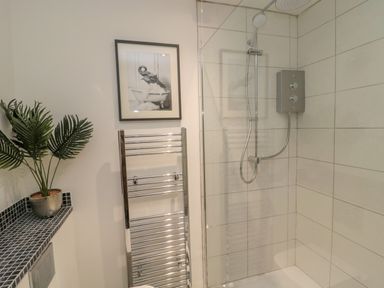 A bathroom with a glass shower enclosure a silver towel rack a plant on a tiled ledge and a framed picture on the wall at Donni Hall Cottage in Beadnell