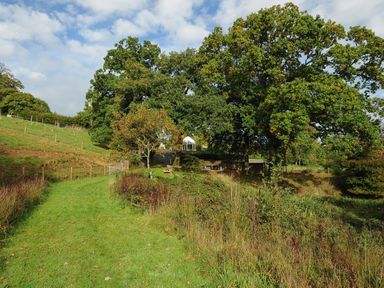 A grassy path leading to trees and a picnic table near a house at The Wagon House in Lezant near Launceston
