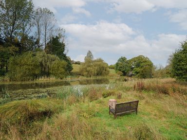 A pond surrounded by trees and grass with a wooden bench and tree stump in the foreground at The Wagon House in Lezant near Launceston
