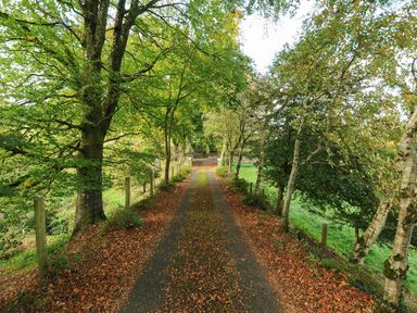 A tree lined country lane with fallen leaves at The Wagon House in Lezant near Launceston