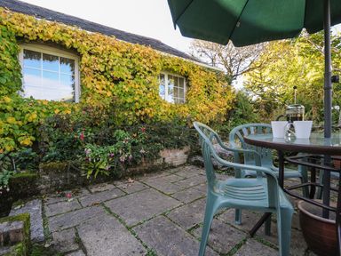An outdoor patio area with plastic chairs a glass table with mugs and a coffee press under an umbrella next to a wall covered in vines at The Wagon House in Lezant near Launceston