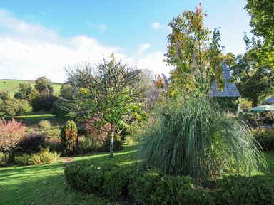 A garden with trees shrubs and grass with a small building in the background at The Wagon House Lezant near Launceston