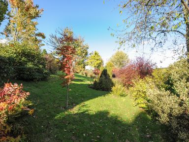 A garden with various trees and bushes on a grassy slope under a clear blue sky at The Wagon House in Lezant near Launceston