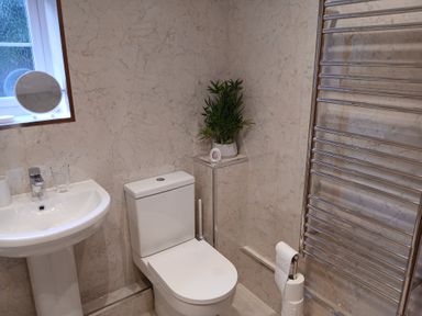A bathroom with a sink and mirror window next to a toilet with a plant on a shelf and a towel rail at The Wagon House in Lezant near Launceston
