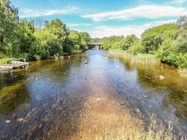 A river with ducks and boats near a small dock and a bridge in a green wooded area at Beech Tree Cottage in Waunfawr