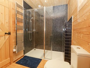 A bathroom with a shower area glass door towel rail and toilet at The Lodge at Crossroads Farm in Middlezoy
