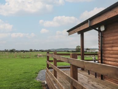 A wooden deck attached to a cabin overlooking a green field with cows and hills in the distance at The Lodge at Crossroads Farm in Middlezoy