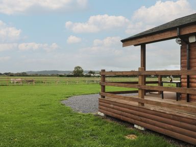 A wooden cabin porch overlooking a green field with a wooden fence and animals grazing at The Lodge at Crossroads Farm in Middlezoy
