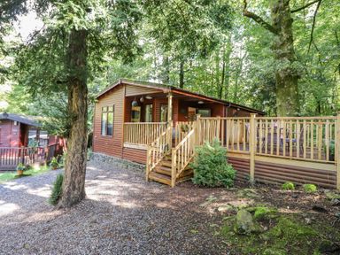 A wooden cabin with a deck and outdoor seating surrounded by trees at Woodland Retreat Skiptory Howe 41A White Cross Bay near Windermere