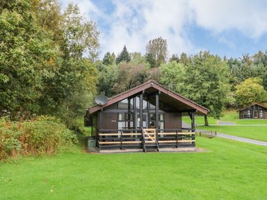 A wooden cabin with a porch on a grassy area surrounded by trees at Firbush Lodge in Killin
