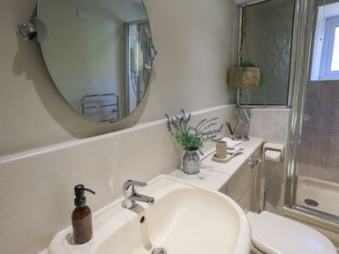 A bathroom with a sink a round mirror a shower a toilet and plants at Lavender Cottage in Cark In Cartmel