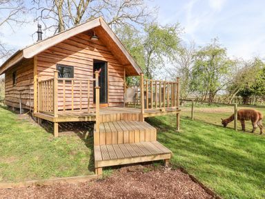 A cabin with a small wooden deck and steps surrounded by grass and trees with an animal grazing at Duck Lodge in Bedale