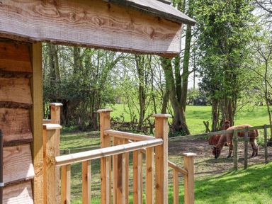 A wooden porch railing with trees and two brown alpacas in a fenced area at Duck Lodge in Bedale
