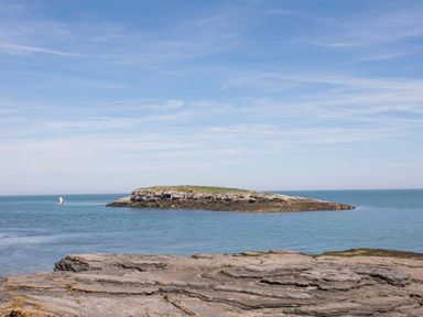 A rocky shore with a small rocky island in the sea and a seagull flying at Bodwena in Moelfre
