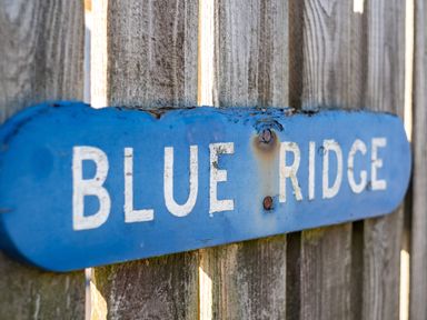 A blue wooden sign with the words blue ridge attached to a wooden fence at Blue Ridge in Polzeath