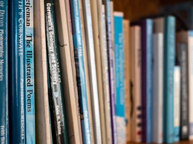 Close up of books standing upright on a wooden shelf