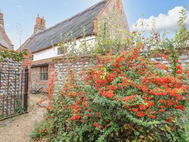 A stone and brick garden wall with red berries and plants in front of a thatched roof house at Manor Farm House in Bacton