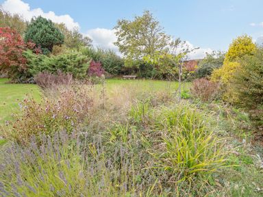A garden with various bushes shrubs and a small tree with a bench in the background at Manor Farm House in Bacton
