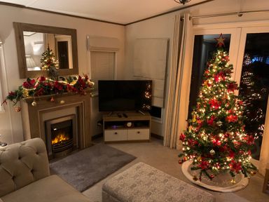 A living room with a decorated Christmas tree and a TV near a fireplace at Lilac Lodge in Carnforth