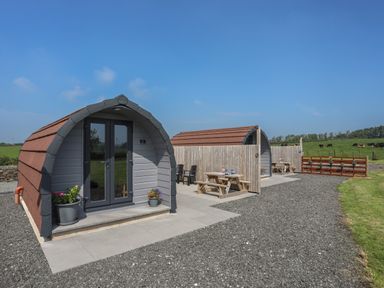 Two small arched cabins with outdoor picnic tables and chairs on gravel with a grassy field and cows in the background at Parys Pod in Amlwch