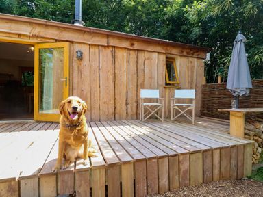 A wooden building with a dog on the deck at Brambly Cabin in Crediton