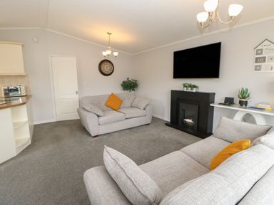 A living room with two sofas a wall-mounted TV a fireplace and a table with plants at Mildred's Lodge in Felton