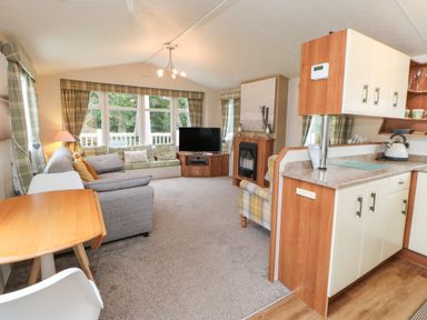 A living room with a gray couch a wooden table white chairs a tv on a wooden stand and a kitchen countertop at Hedgehog Retreat in Felton