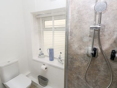 A bathroom with a toilet a window with blinds decorative sailboats a striped pitcher a shower with a handheld showerhead at Bluebell Cottage in Jameston near Manorbier