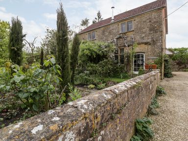 Stone cottage with a garden and tall trees behind a low stone wall at Ham cottage in East Lambrook near South Petherton