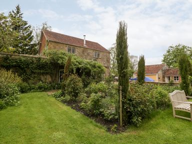A garden with shrubs and trees near a stone house and wooden bench at Ham cottage in East Lambrook near South Petherton