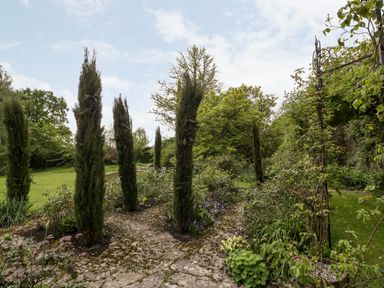 A garden with tall trees and stone pathways at Ham cottage in East Lambrook near South Petherton