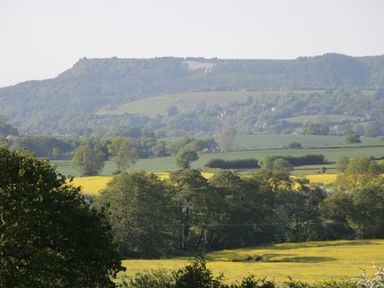 A rural landscape with fields and trees with hills in the background at Pheasant in Bedale