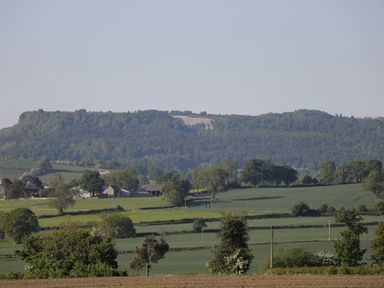 A rural landscape with fields trees and farm buildings at Pheasant in Bedale