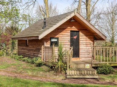 A wooden cabin with a small porch and steps in a garden surrounded by trees and plants at Pheasant in Bedale