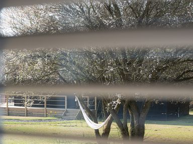 A hammock tied between trees in a garden with a wooden decked terrace in the background at Galwad y Mor in Niwbwrch newborough