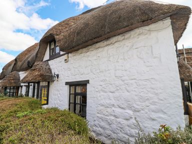A white stone cottage with thatched roof and black framed windows with bushes in front at 5 Packhorse in Purton