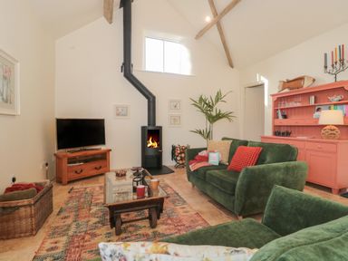 A living room with green sofas a fireplace a television and a red cabinet at The Hayloft in Stockland Honiton
