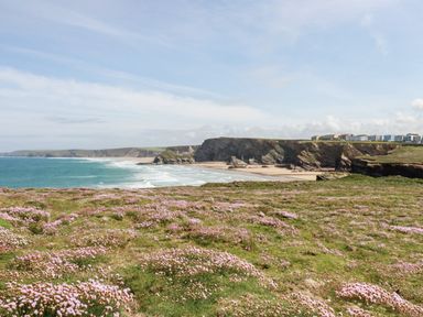 A coastal landscape with cliffs a sandy beach ocean waves and pink flowers on grass at Porth Beach Villa in Porth near Newquay